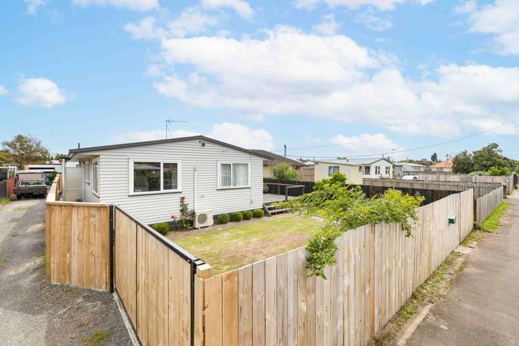 22a Pine Avenue Bader_17