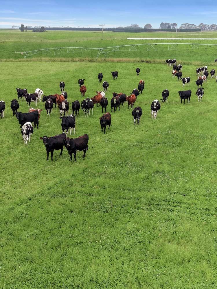 126 Happy Valley Road Herbert_26