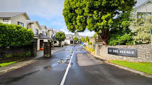 10/11 The Avenue Albany_1