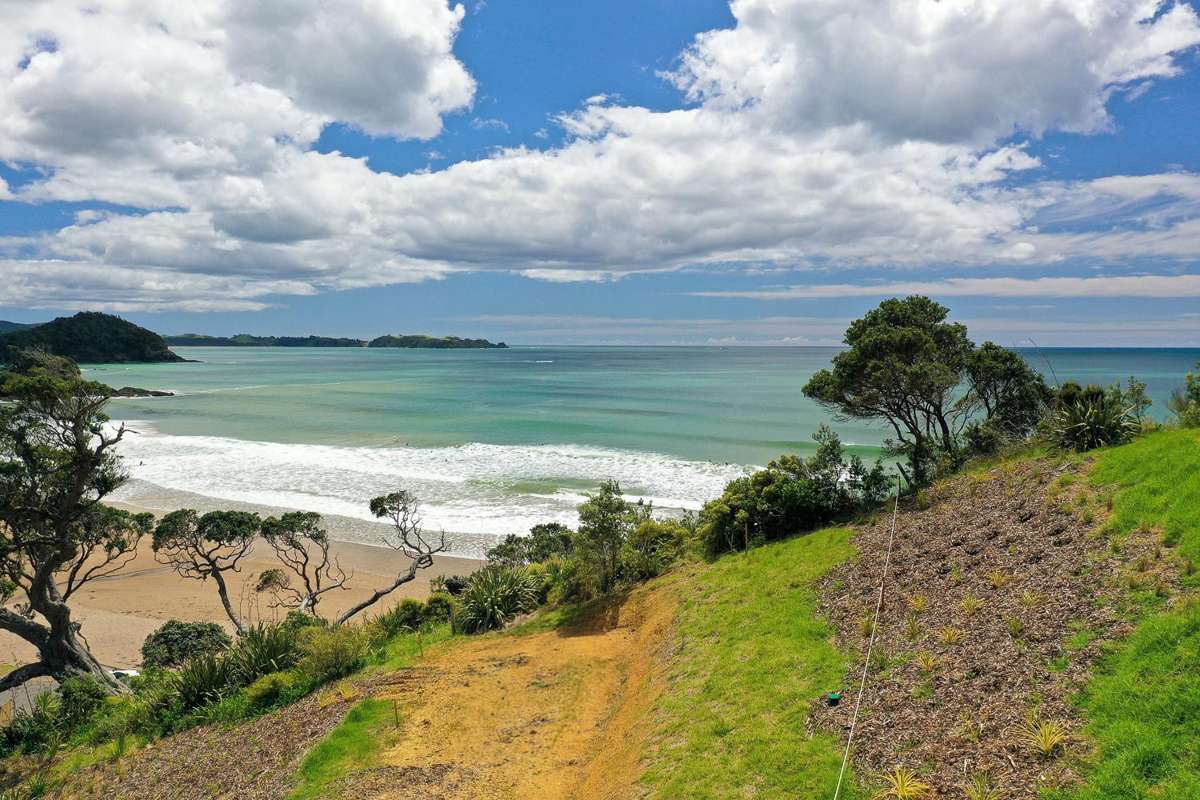 1303C Matapouri Road_1