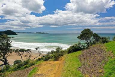 1303C Matapouri Road_1