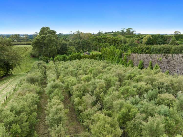 Pine Ridge Lane Aongatete_3