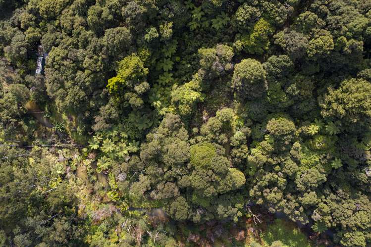 226 Peria Road Peria_19