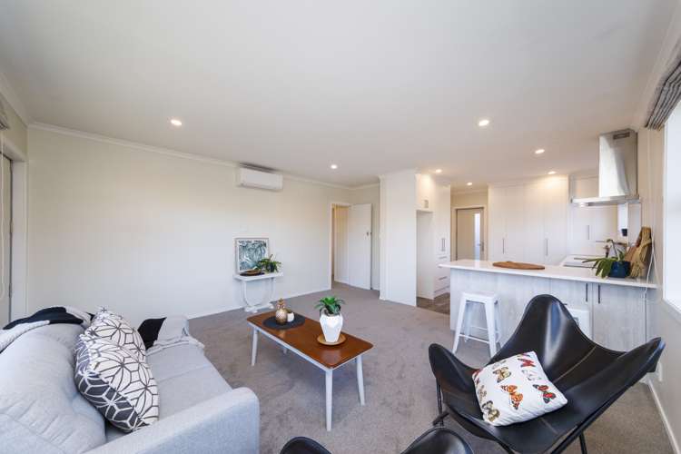 307 College Street West End_5