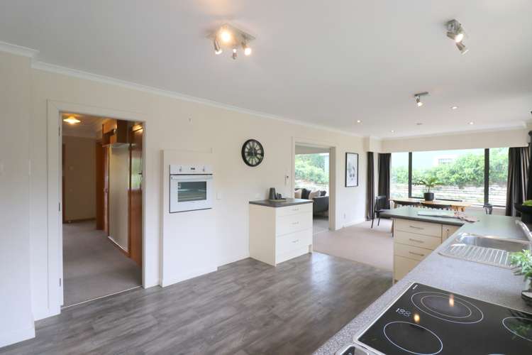 291 Racecourse Road Waverley_10