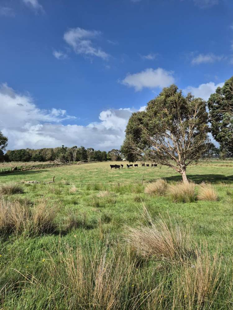 50B Painua Road Hokio Beach_10