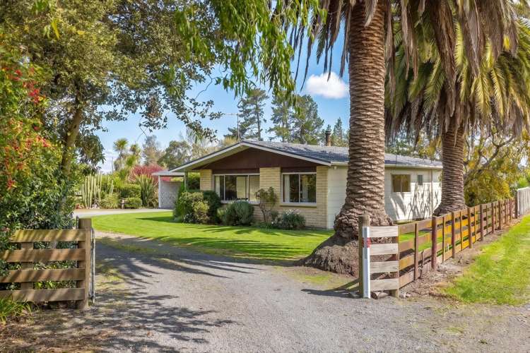 231B Belvedere Road_0