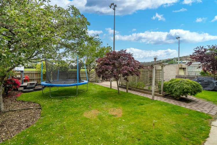 239 Macandrew Road Forbury_1