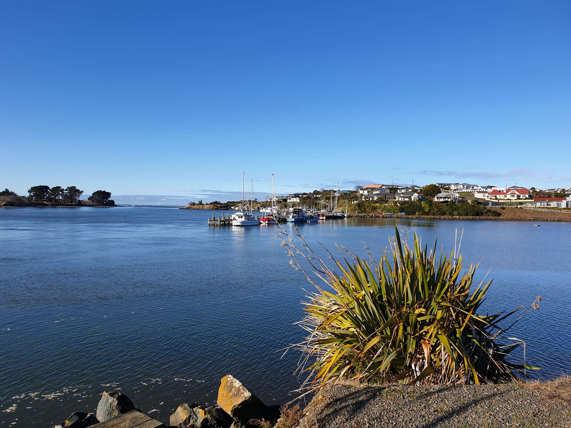 133 -135 Palmerston Street Riverton_0