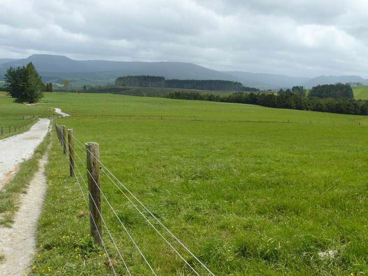 619 Rakauwahia Road Kaikohe_27