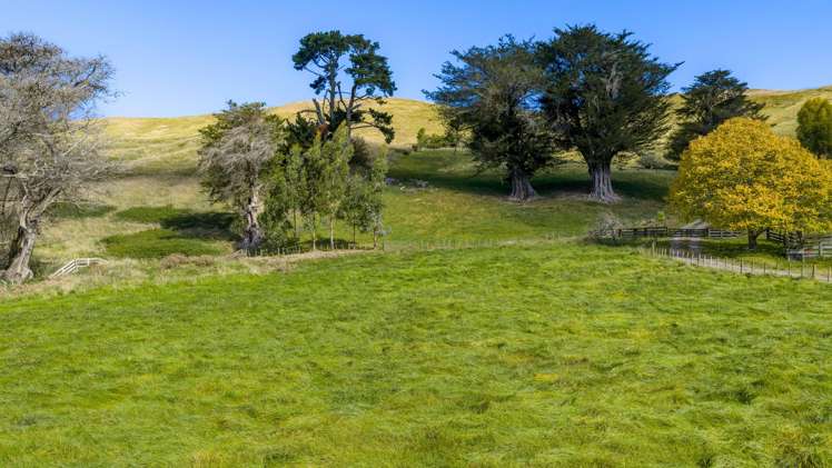 Lot 2, 127 Ongaonga Road Waipawa_8