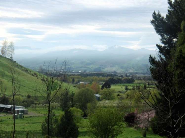 130 Teapot Valley Road Brightwater_5