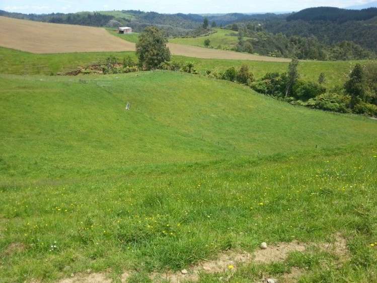 860 Mataro Road Onaero_5