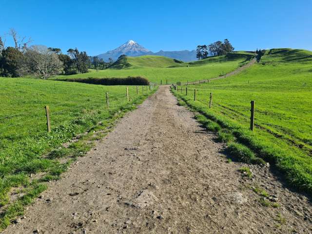 801 Mangorei Road Mangorei_1