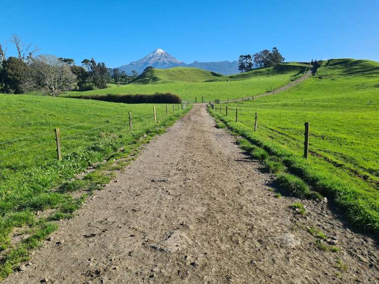 801 Mangorei Road Mangorei_1