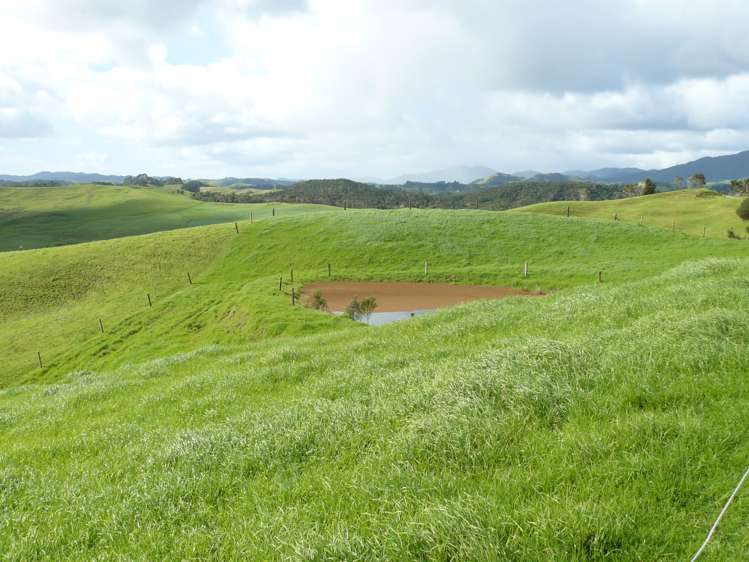 1907 Diggers Valley Road Kaitaia_11