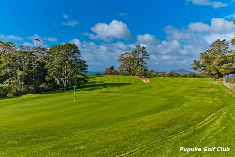 3 Tree Fern Trail Campbells Bay_30