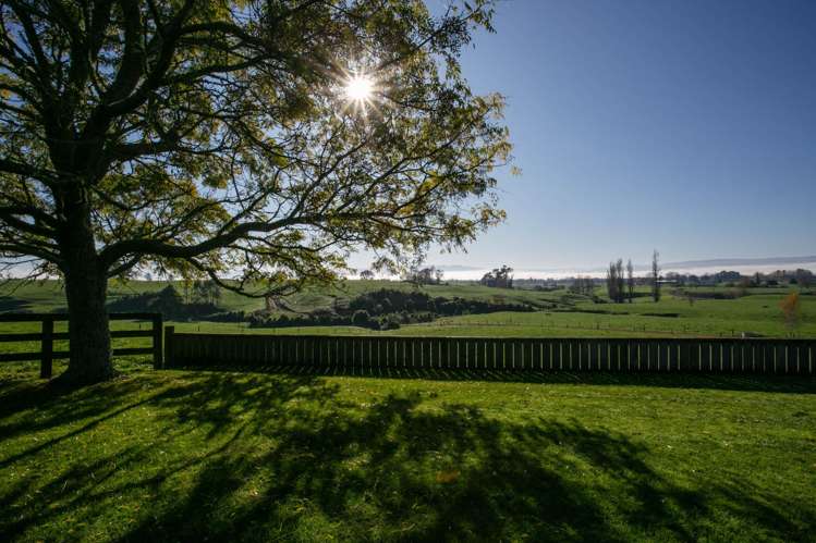 446 Station Road Matamata_15