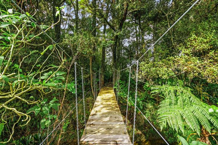 327 Tangihua Road Maungakaramea_15