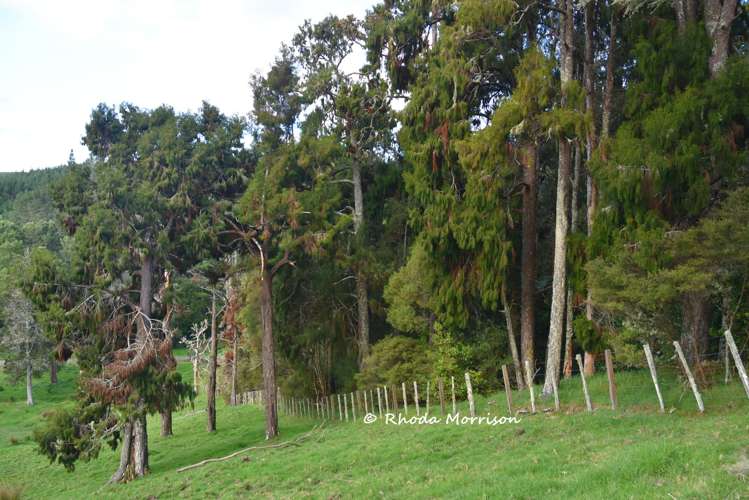 726 Paparoa Station Road Maungaturoto_60