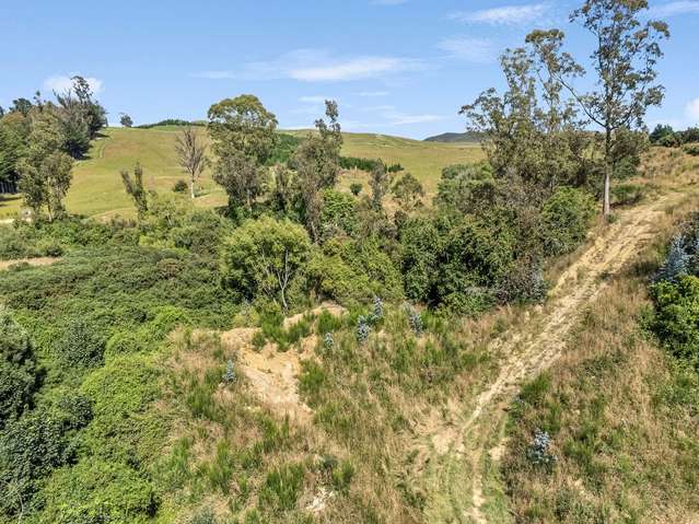 2705 Waikouaiti-Waitati Road Waikouaiti_3