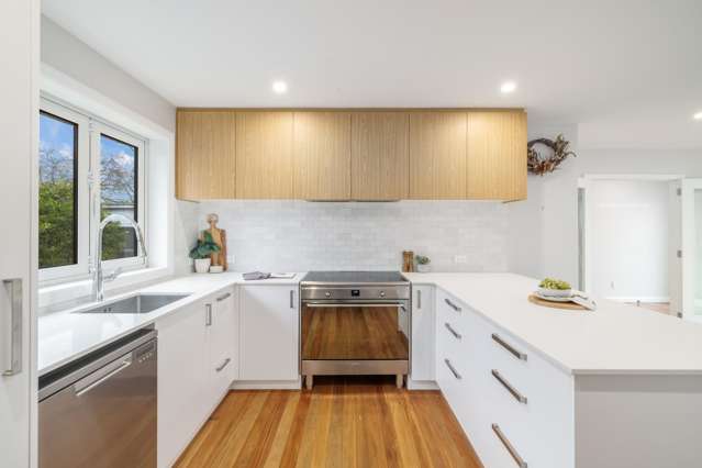 4 Beckenham Street Sydenham_2