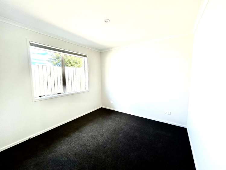 17A Tui Road 11073_2