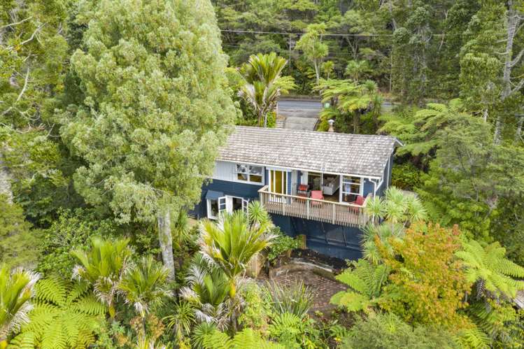 43 Takahe Road Titirangi_6