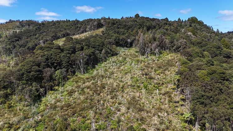 Otangaroa Side Road Kaeo_8