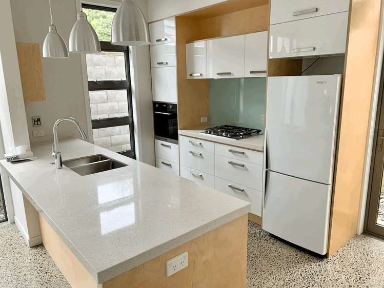 4 Buller Street Te Aro_1