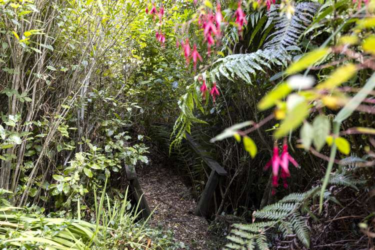 920 Wakamarina Road Havelock_30