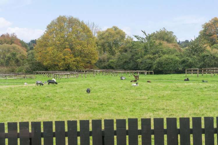 3 Brookdale Drive Ngongotaha_18