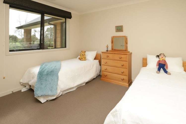 23 Trentham Road Matangi_20