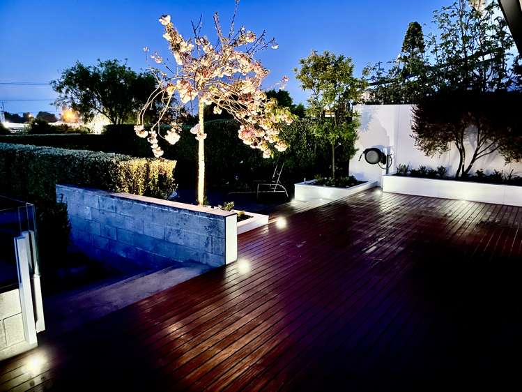 32 Queen Street Te Puke_29