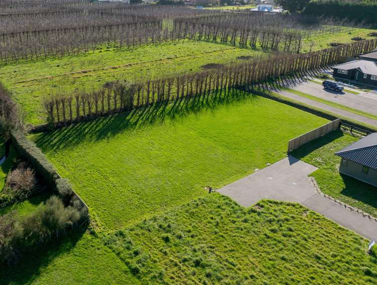 4B Stevens Drive Greytown_9