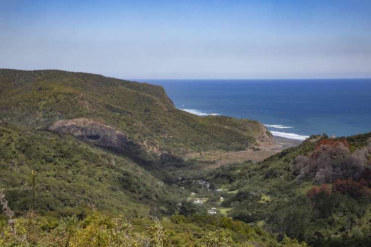 195 Piha Road Piha_17