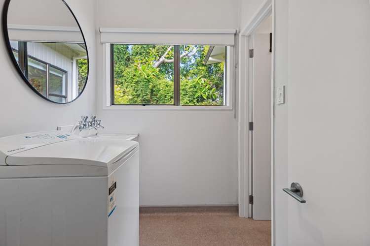 43 Carlton Street Bellevue_33