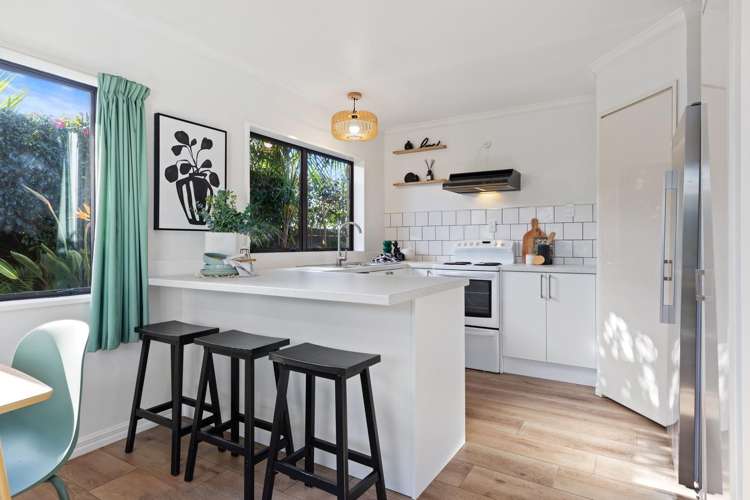 40b Hibiscus Avenue Mount Maunganui_10