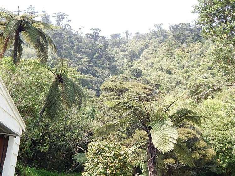 31 Torea Street Granity_24