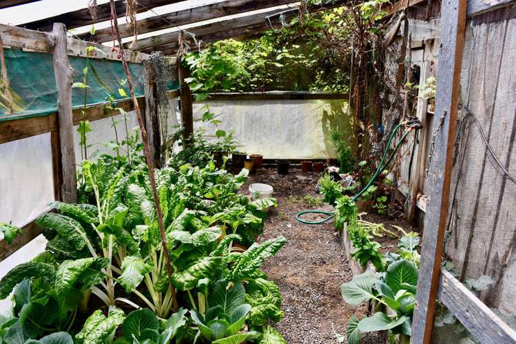 406 Arapito Road Karamea_25