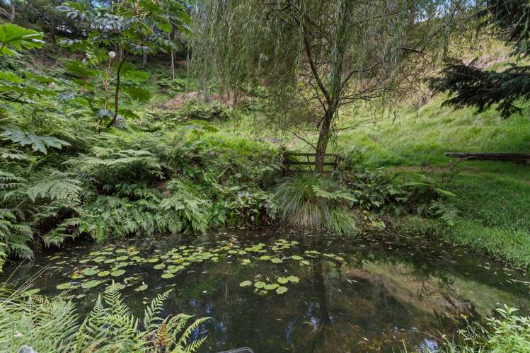 763b White Pine Bush Road Whakatane_28