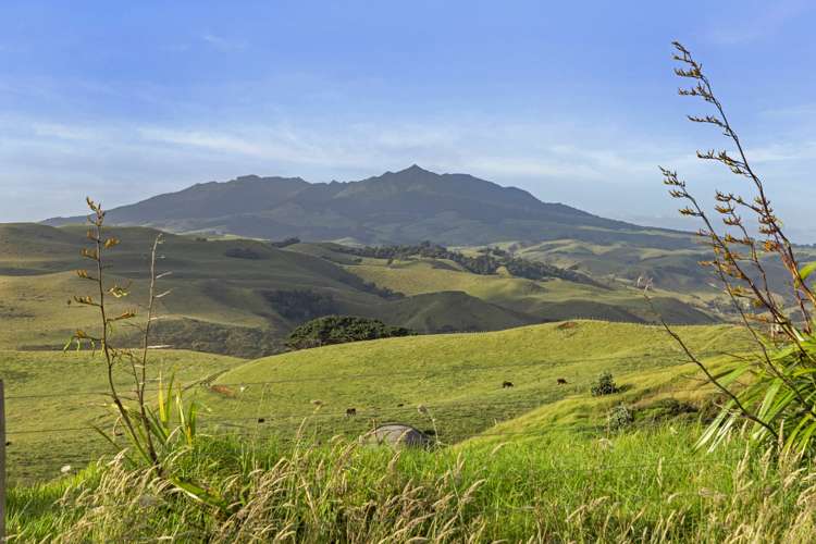 498b Phillips Road Raglan_5