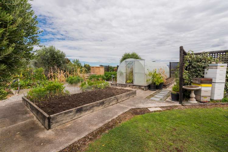 169 Airport Road Alexandra_22