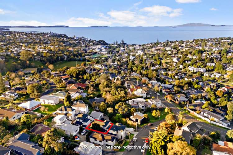 3B Agathis Avenue Mairangi Bay_15