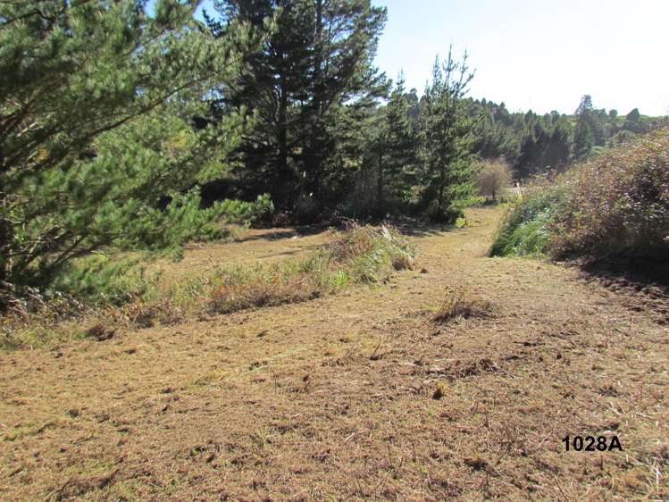 1028 A,B,C McIvor Road Rotoma_12