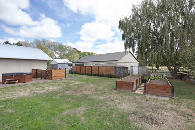 455b State Highway 1 Bulls_3