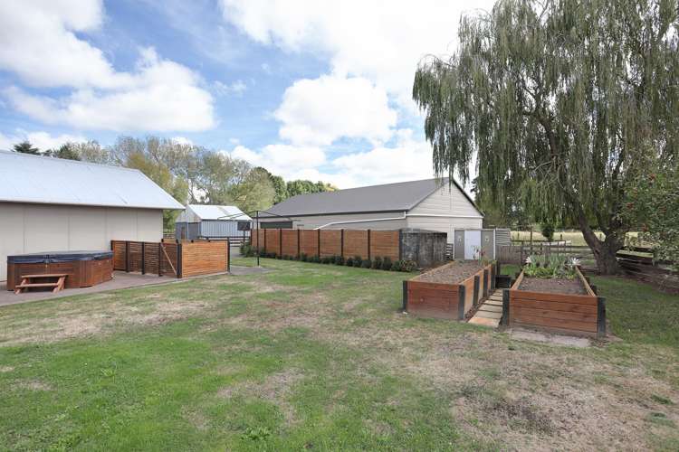 455b State Highway 1 Bulls_3