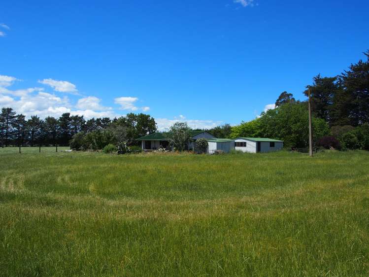 Lot 1/332 Station Road Takapau_10