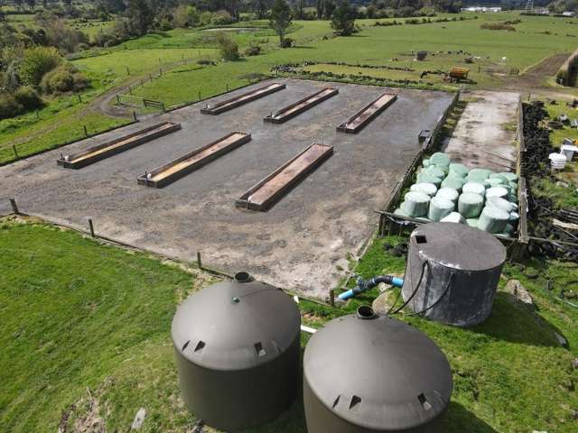 452 Surrey Road Rd 8_1