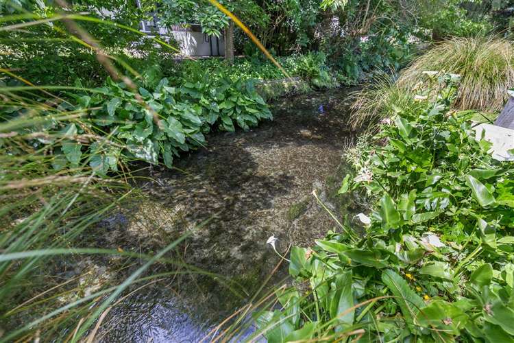 21 Woodford Terrace Ilam_8